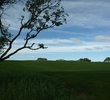 The sixth on the AT&T Canyons Course at TPC San Antonio is a linksy-feeling, uphill par 4.