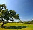The eighth hole at Vaaler Creek Golf Club is a par-5, dogleg right. 