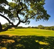 Hill Country oaks are scattered throughout Vaaler Creek Golf Club in the Texas Hill Country. 