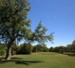 Of the three nines at Hill Country Golf Club, the Oaks features the most trees that come into play in the fairway. 